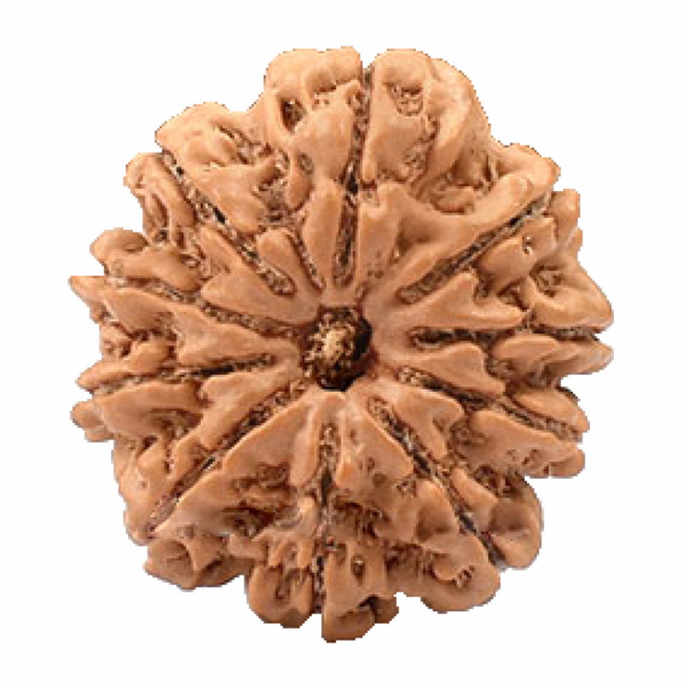 आध्यात्मिक शक्ति और लाभ के लिए (Spiritual benefits of 10 Mukhi Rudraksha)