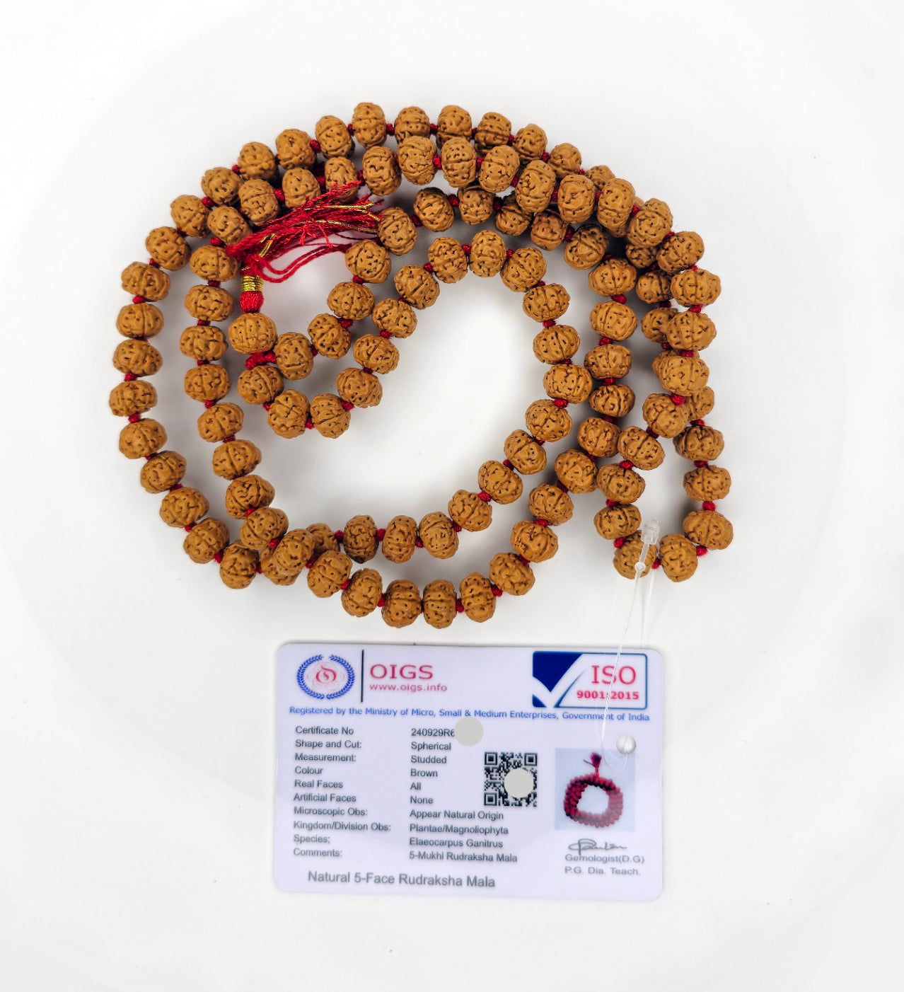 आध्यात्मिक शक्ति और लाभ के लिए (Spiritual benefits of 5 Mukhi Rudraksha mala)