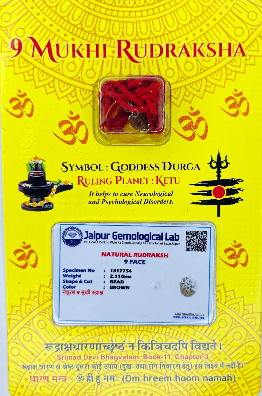 9 Mukhi Rudraksha with Silver Pendant