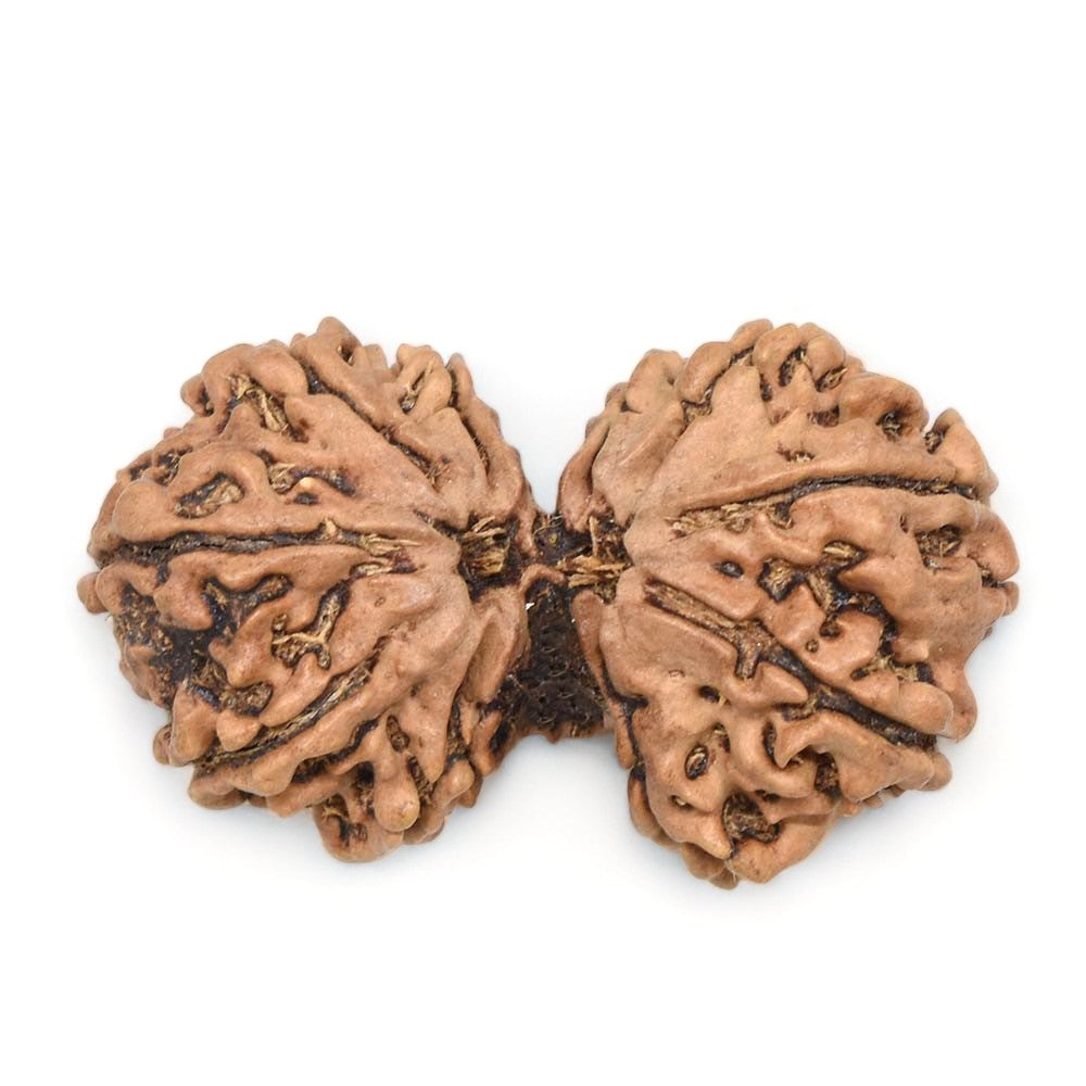 आध्यात्मिक शक्ति और लाभ के लिए (Spiritual benefits of Gauri Shankar Rudraksha)