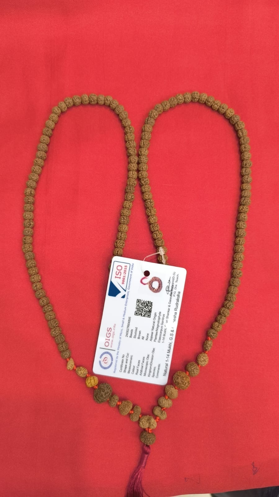 1 Mukhi to 14 Mukhi Rudraksha Siddha mala (Indonesia Beads)