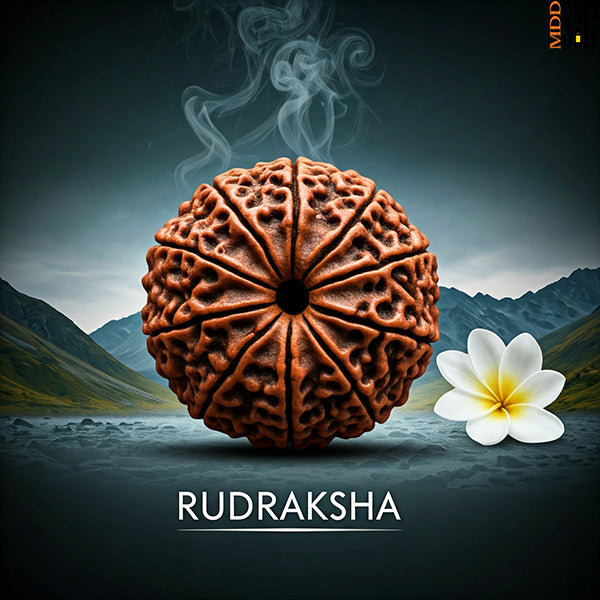 Rudraksha