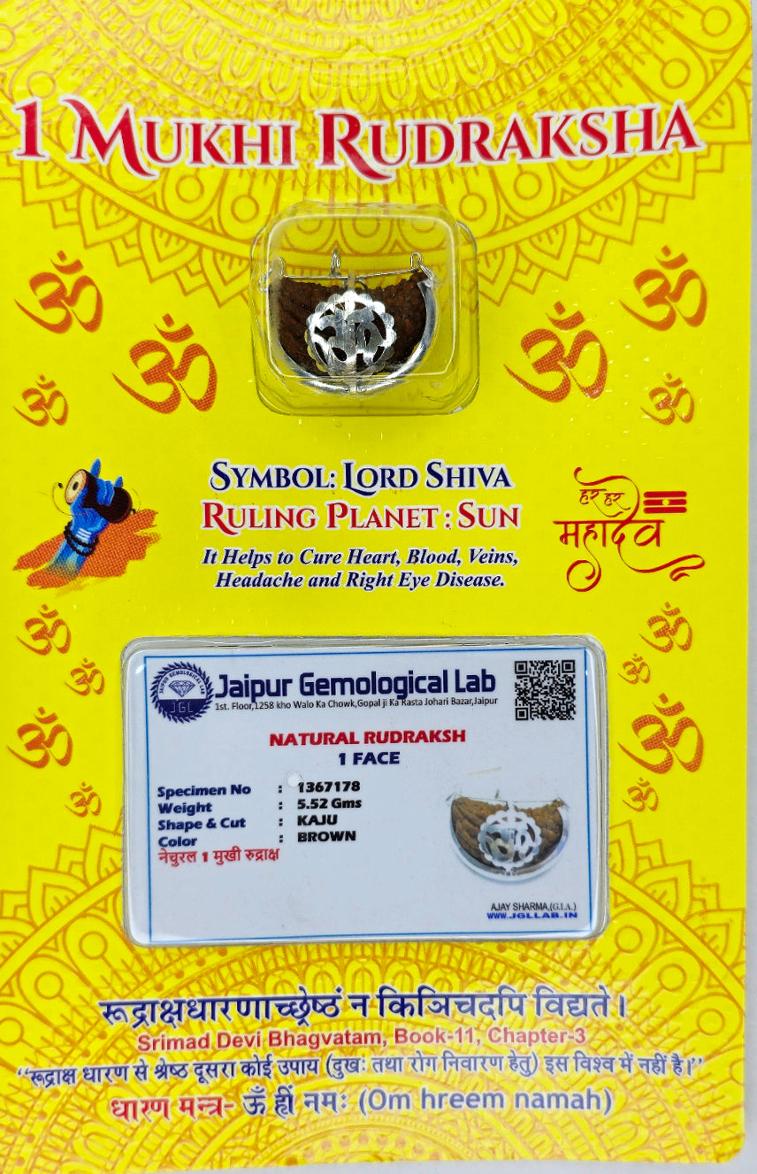 1 Mukhi Rudraksha with Silver OM cap