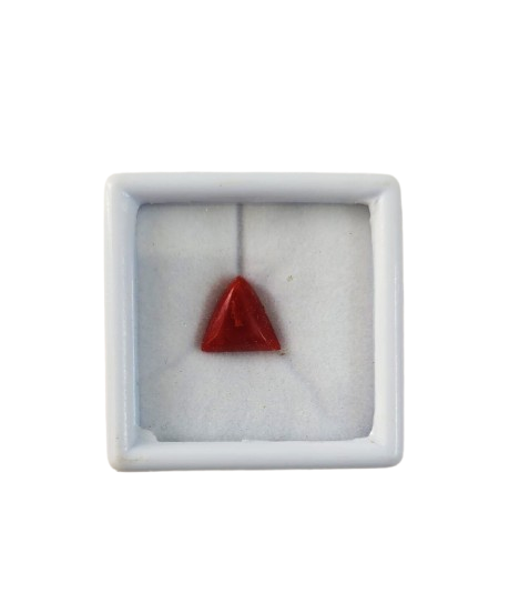 Close up natural red coral capsule cut gemstone untreated

Deep red moonga stone smooth surface high quality finish

Natural mars gemstone red coral detailed texture view