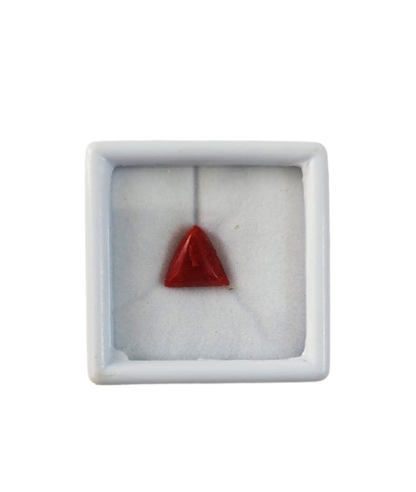 Close up natural red coral capsule cut gemstone untreated

Deep red moonga stone smooth surface high quality finish

Natural mars gemstone red coral detailed texture view