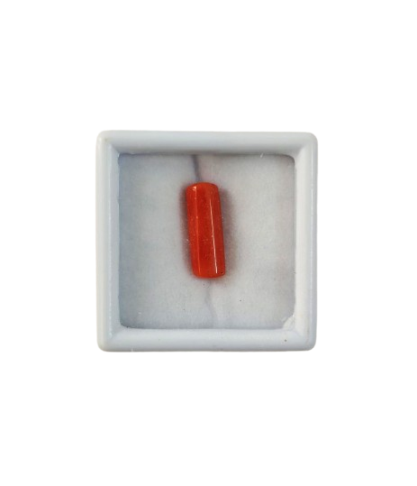 Close up natural red coral capsule cut gemstone untreated

Deep red moonga stone smooth surface high quality finish

Natural mars gemstone red coral detailed texture view