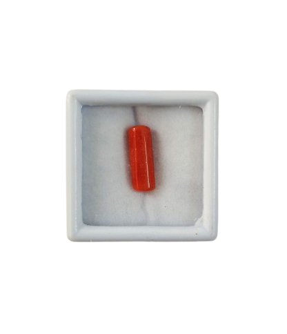 Close up natural red coral capsule cut gemstone untreated

Deep red moonga stone smooth surface high quality finish

Natural mars gemstone red coral detailed texture view