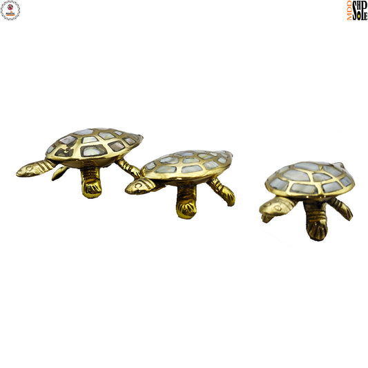 Wish Fulfilling Brass Tortoise with Secret Wish Compartment (Set of 3)